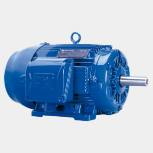 MOTOR ELÉCTRICO TRIFÁSICO WEG